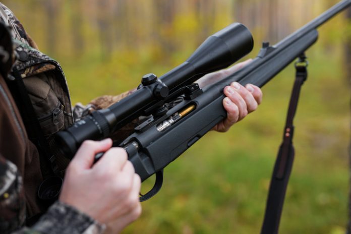 Bipartisan Senate Agreement on Gun Control